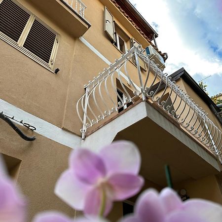 Ara Home Marcellinara Εξωτερικό φωτογραφία
